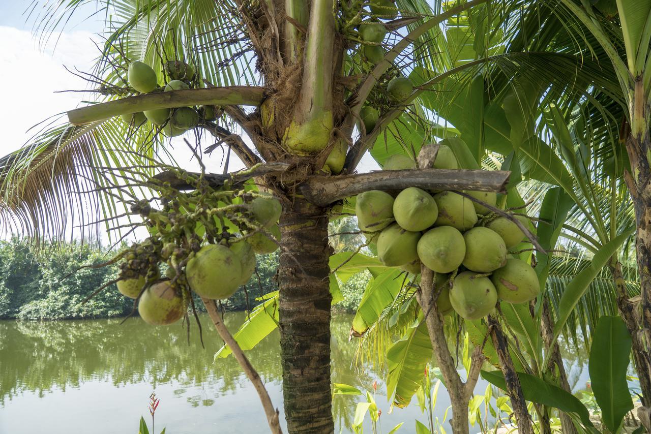 Hoi An Luna Villa Eksteriør bilde