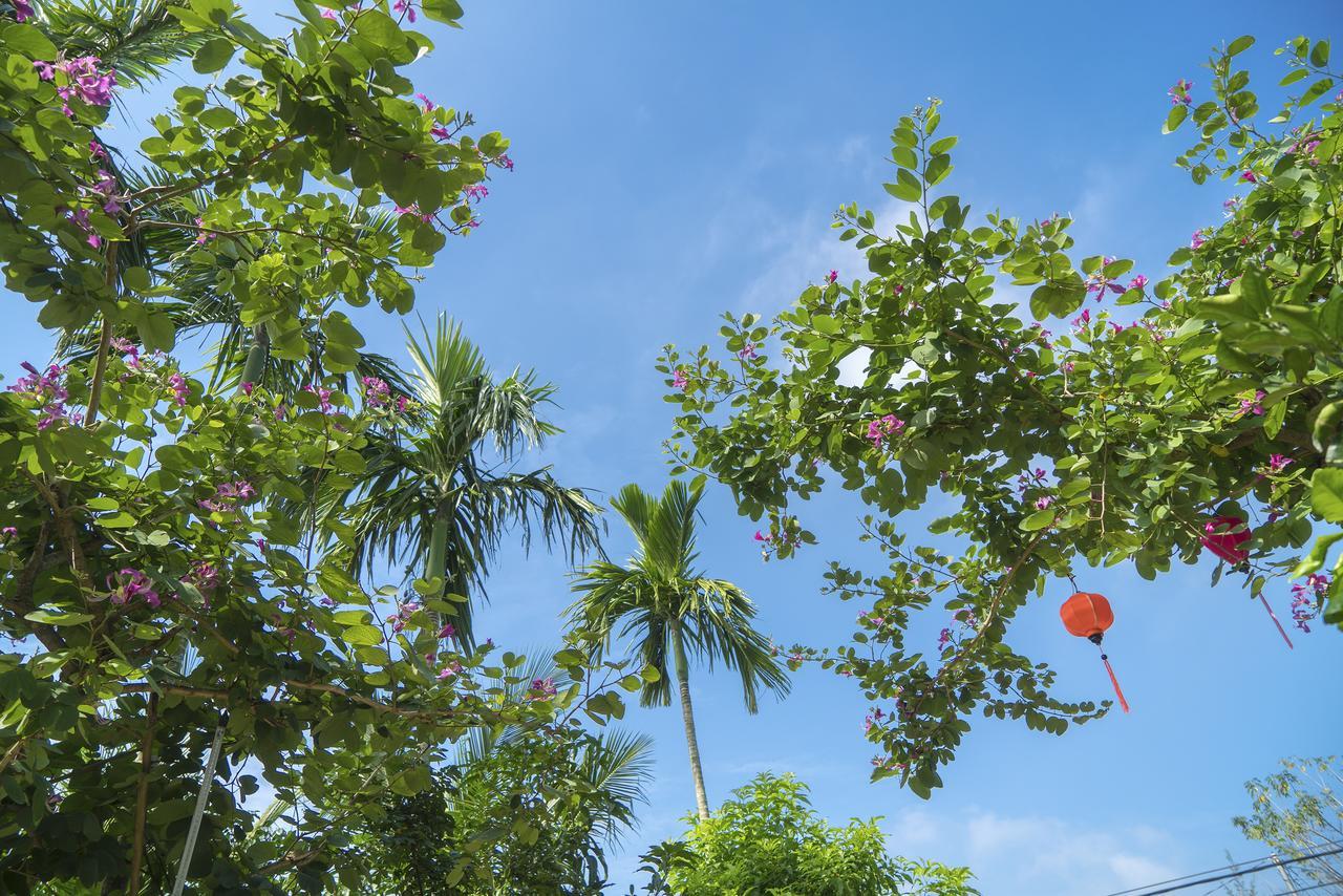 Hoi An Luna Villa Eksteriør bilde
